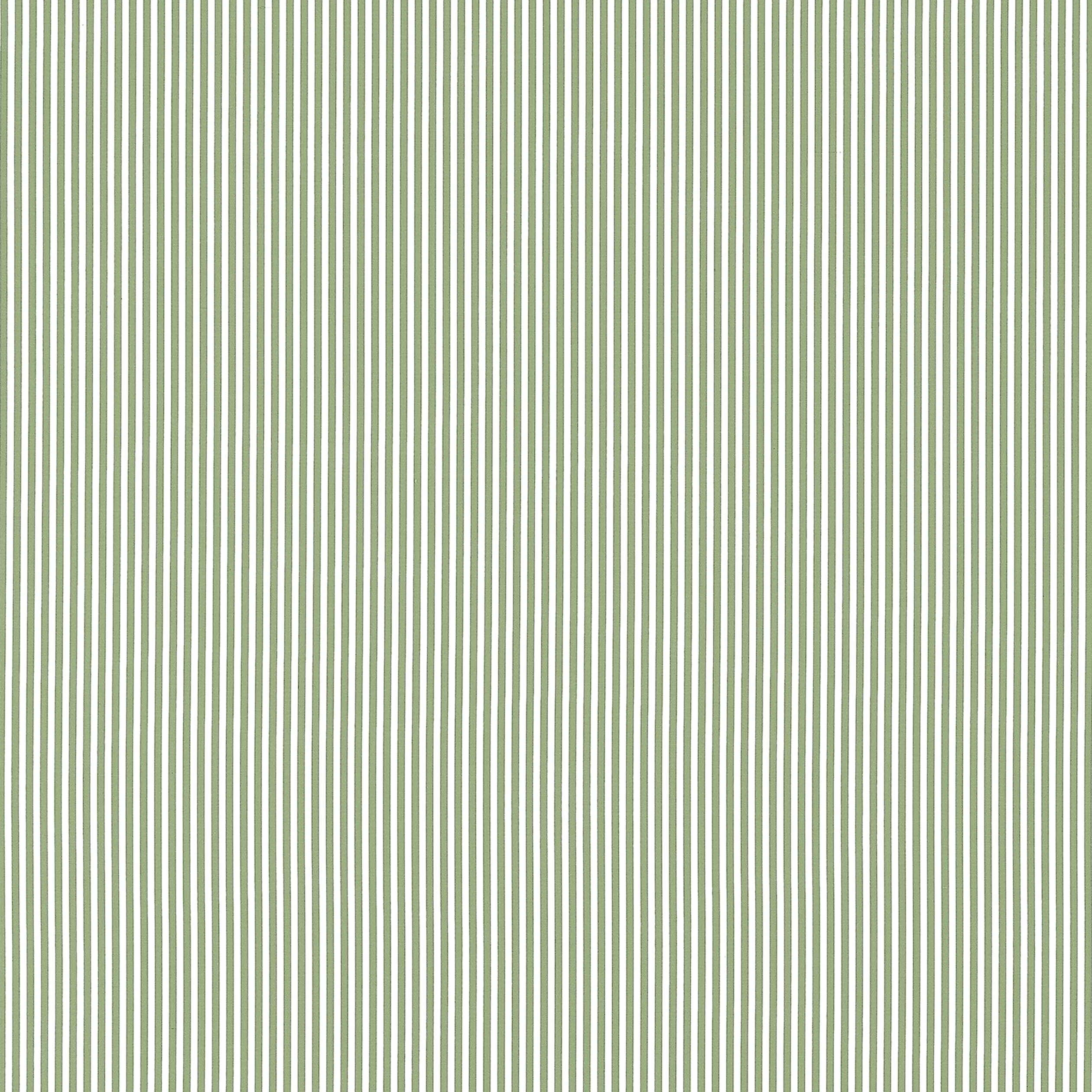 AW57805 | Holden Stripe – Green