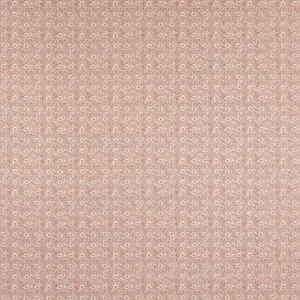 Anna French Holly Trellis in Blush (AF16128)