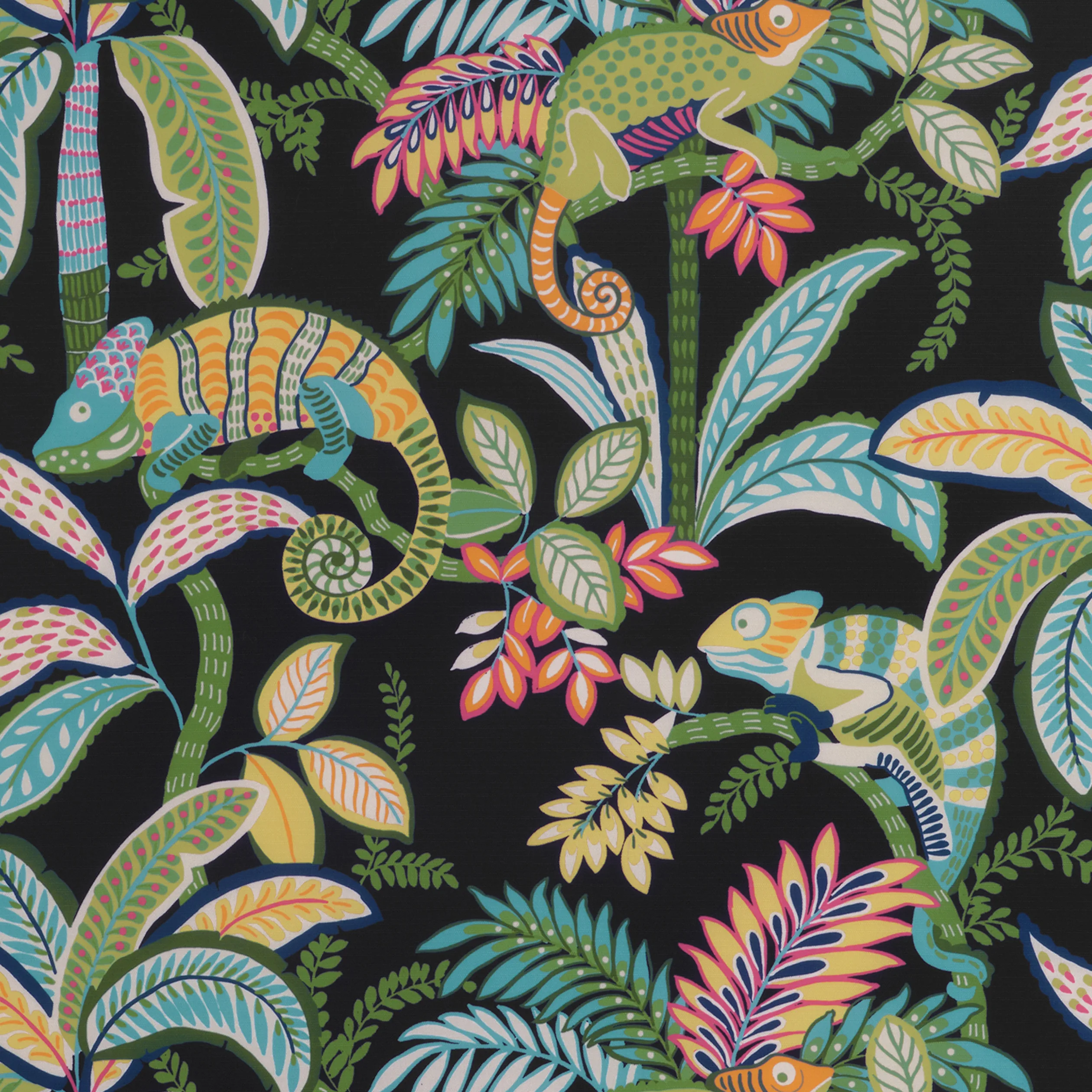 Thibaut Iggy Print in Jungle (F81674)