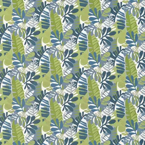 Thibaut Ipanema in Bermuda and Kiwi (W81795)