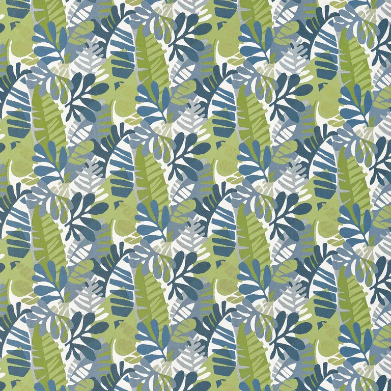 Thibaut Ipanema in Bermuda and Kiwi (W81795)