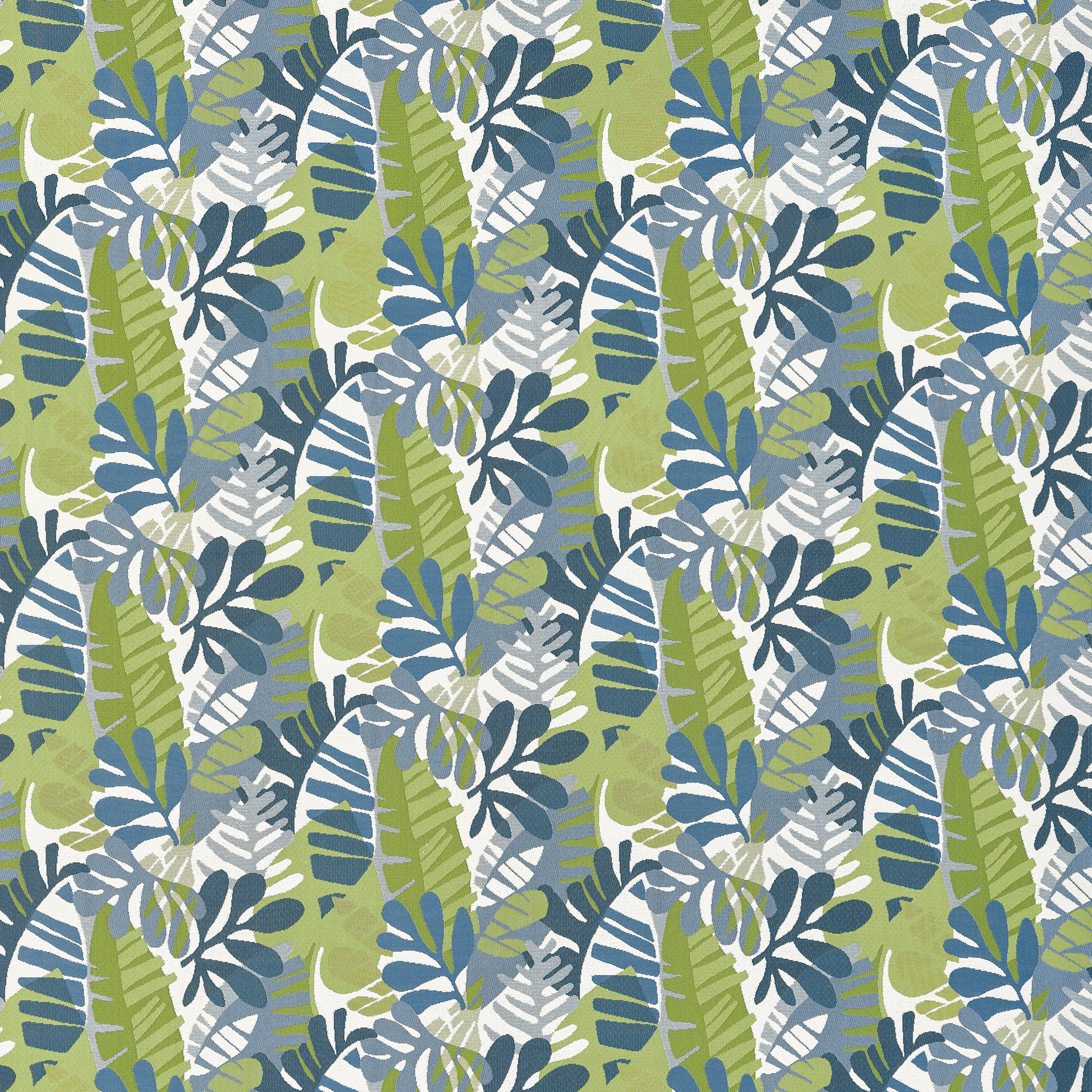 Thibaut Ipanema in Bermuda and Kiwi (W81795)