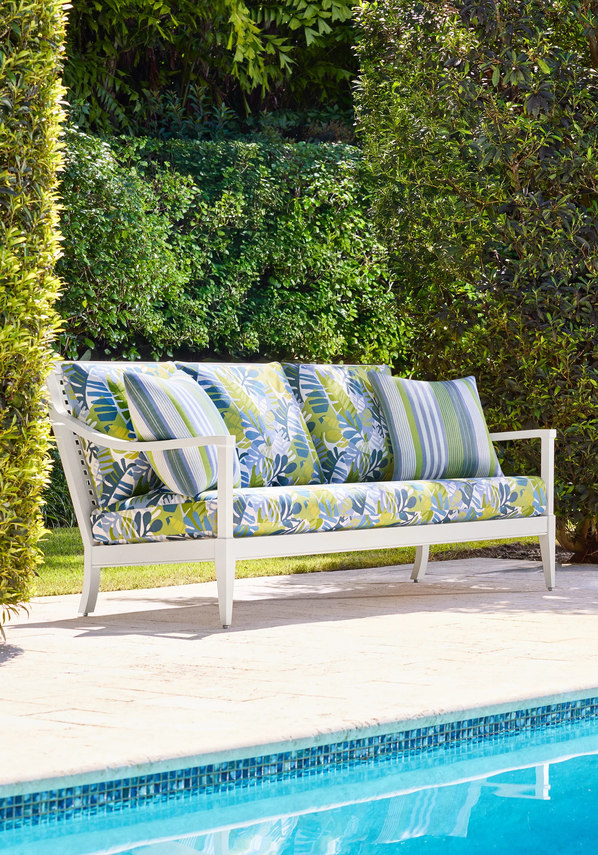 Thibaut Ipanema in Bermuda and Kiwi (W81795)