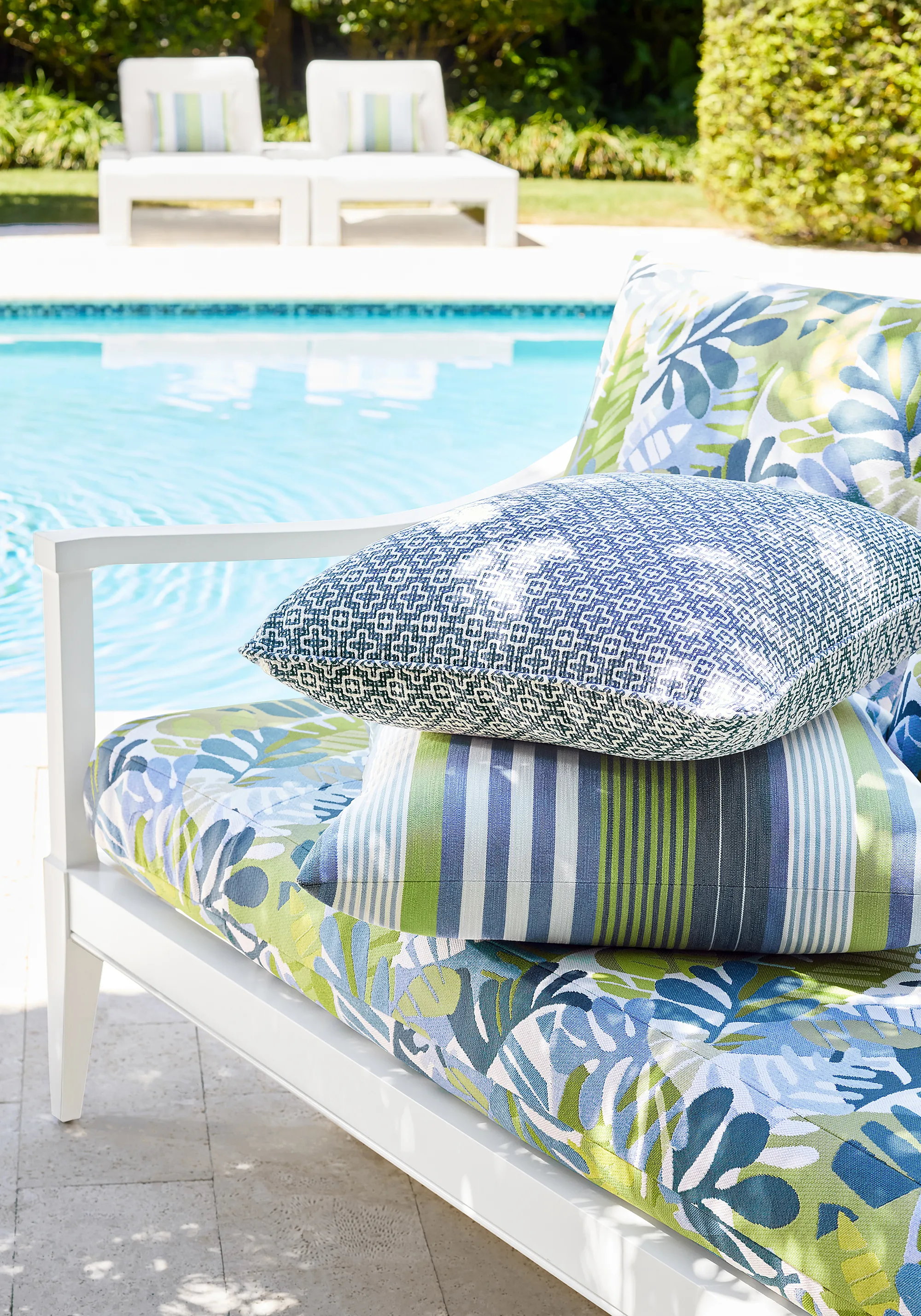 Thibaut Ipanema in Bermuda and Kiwi (W81795)