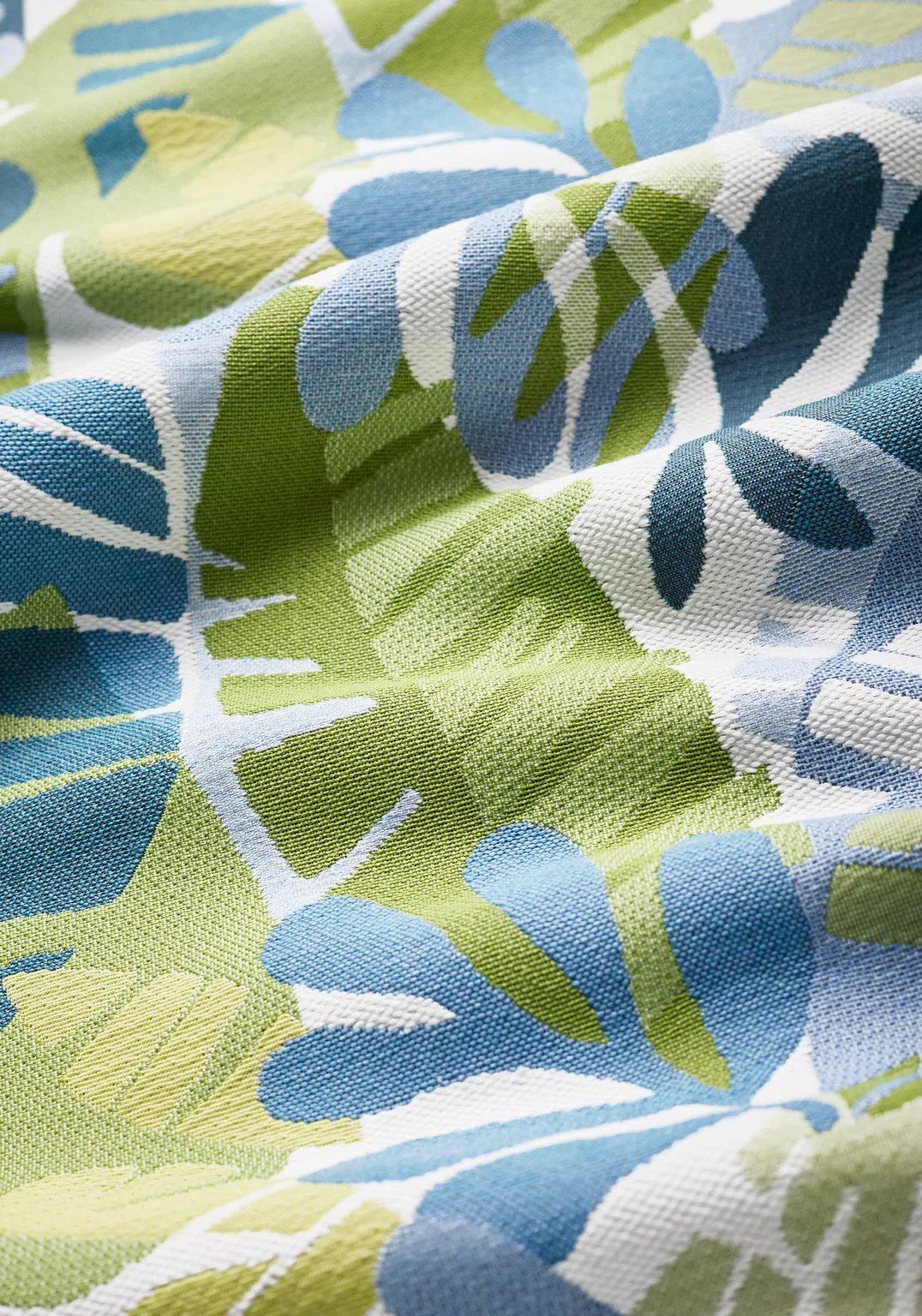 Thibaut Ipanema in Bermuda and Kiwi (W81795)