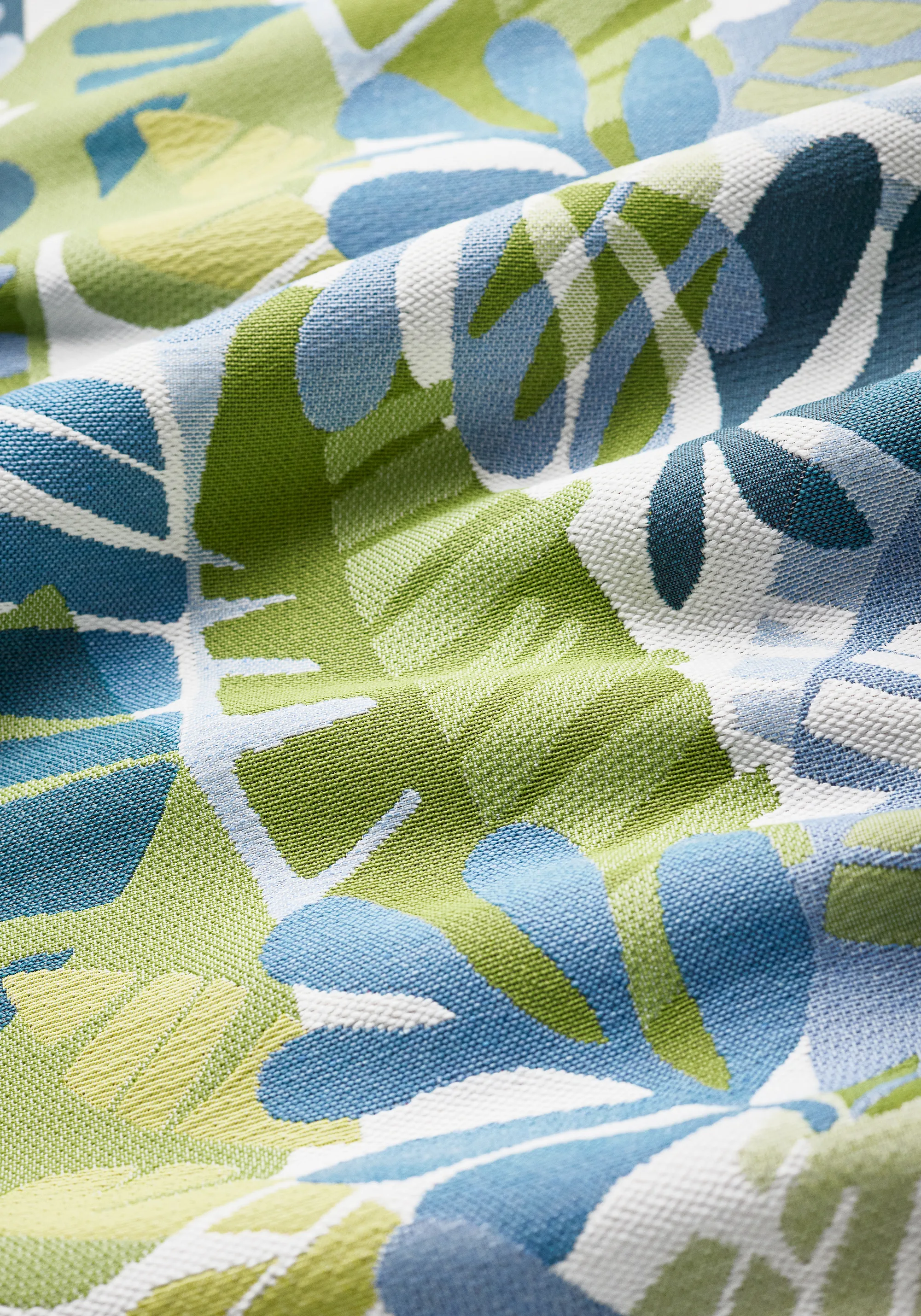 Thibaut Ipanema in Bermuda and Kiwi (W81795)