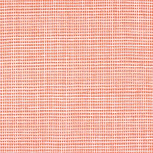 Thibaut Isla in Coral (W8569)