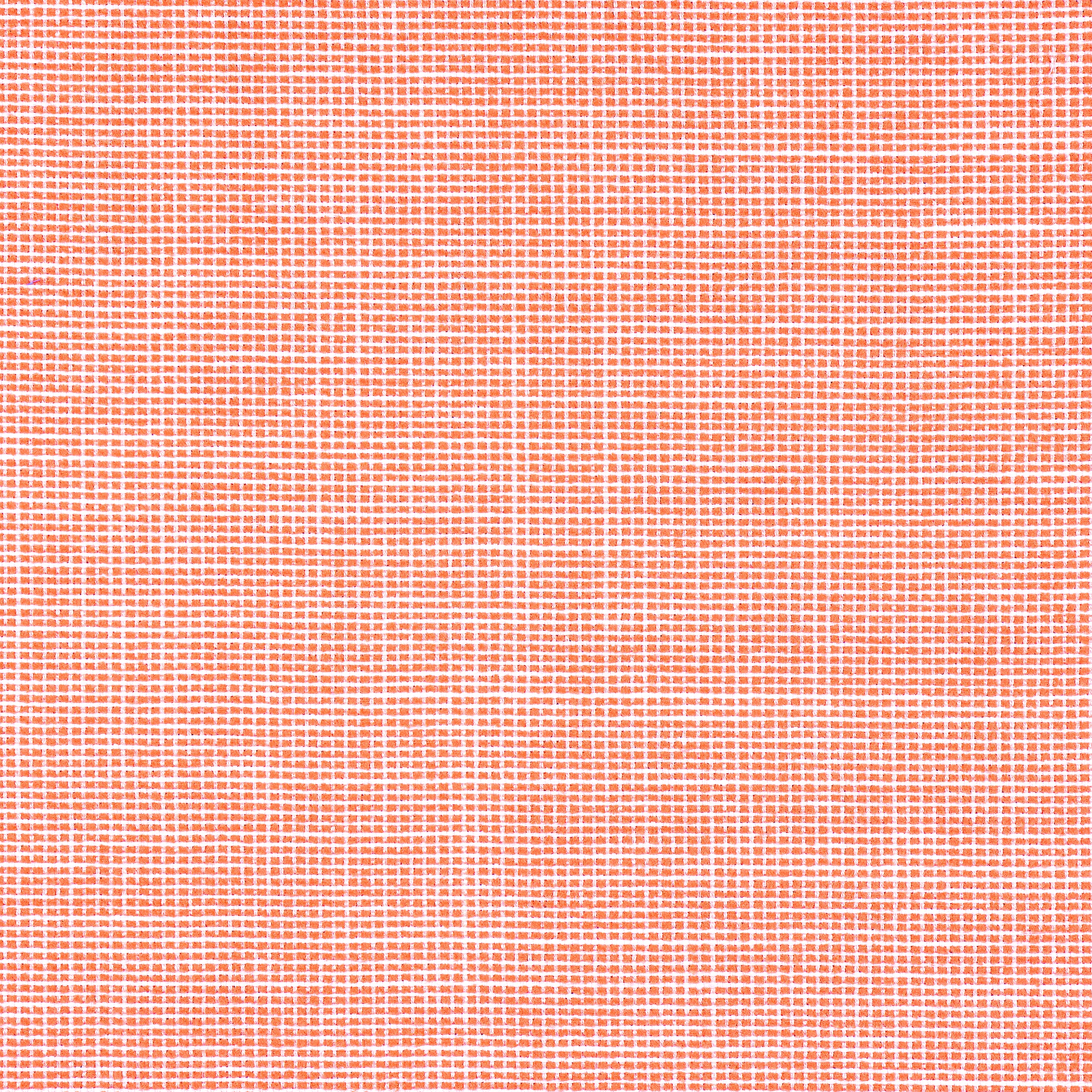 Thibaut Isla in Coral (W8569)