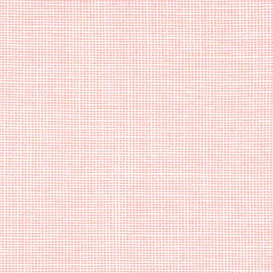 Thibaut Isla in Seashell (W8568)