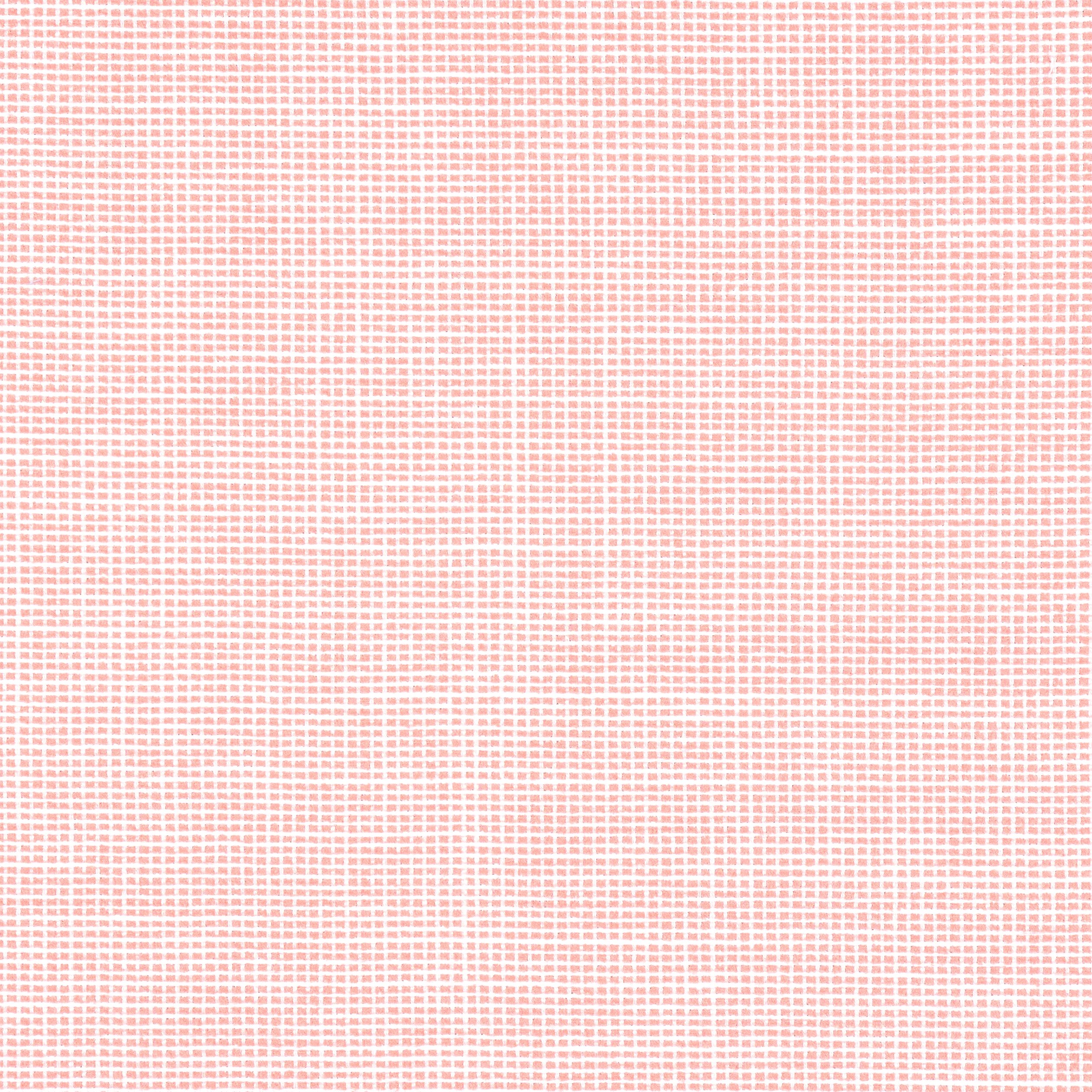 Thibaut Isla in Seashell (W8568)