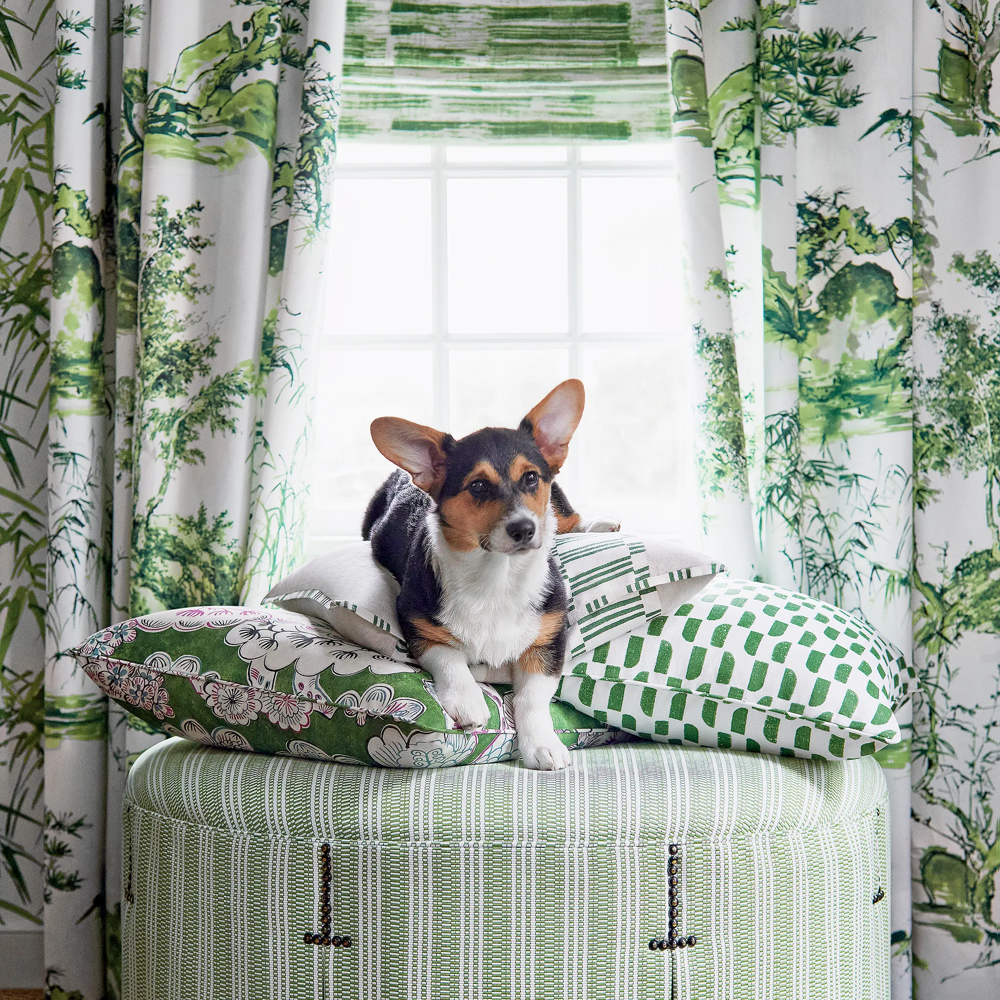 Anna French Japonic Stripe in Emerald Green (AF9824)