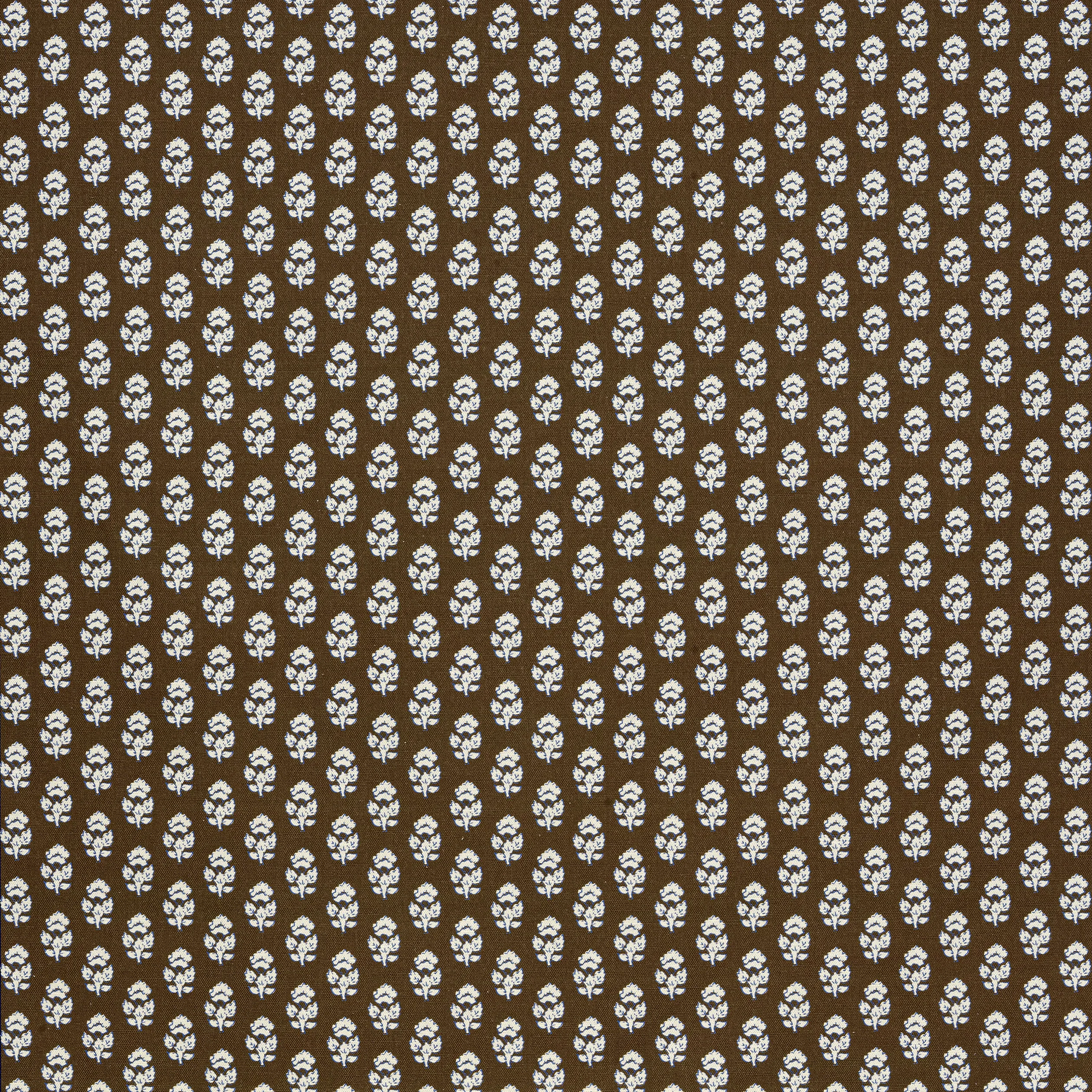 AF15164 | Julian – Brown