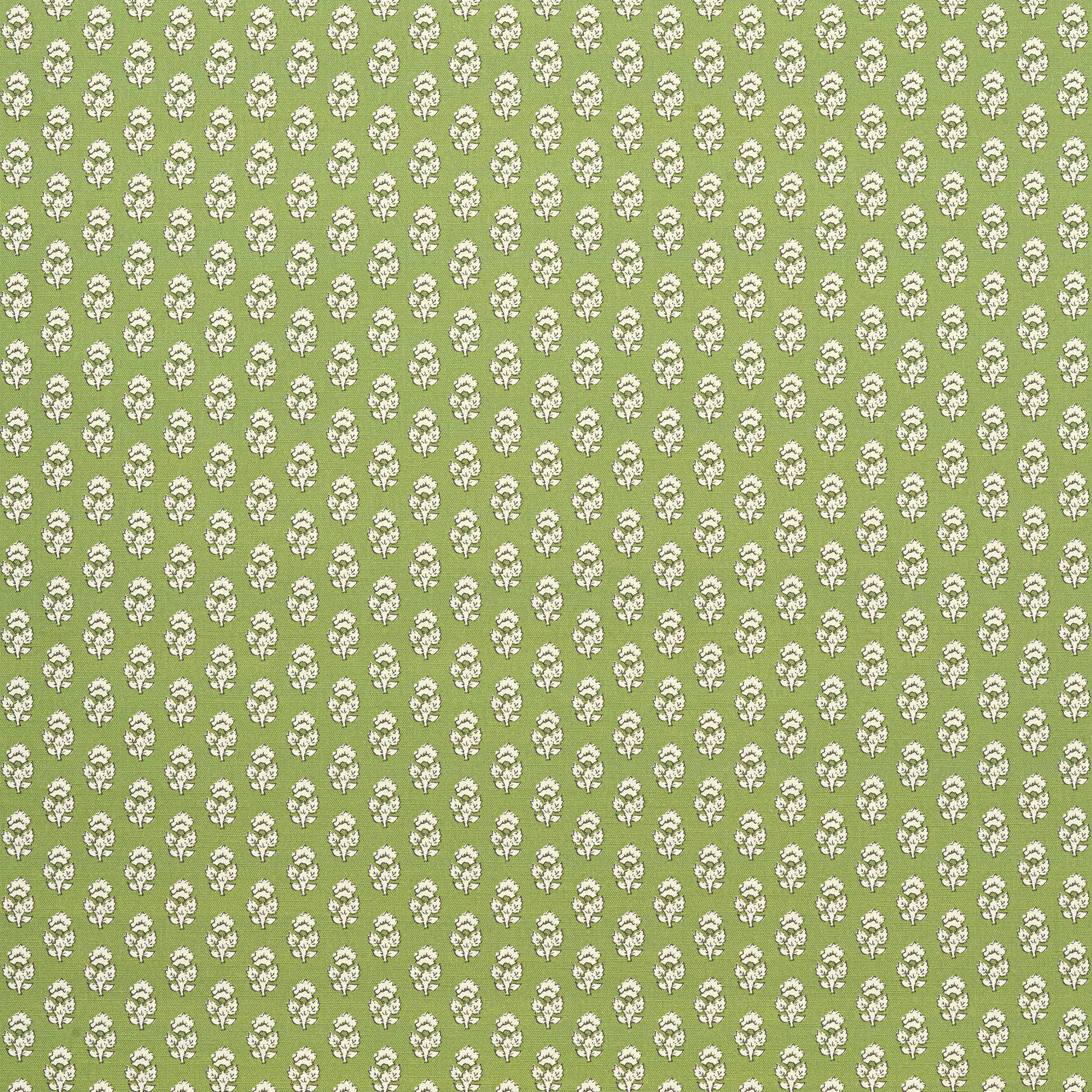 AF15160 | Julian – Green
