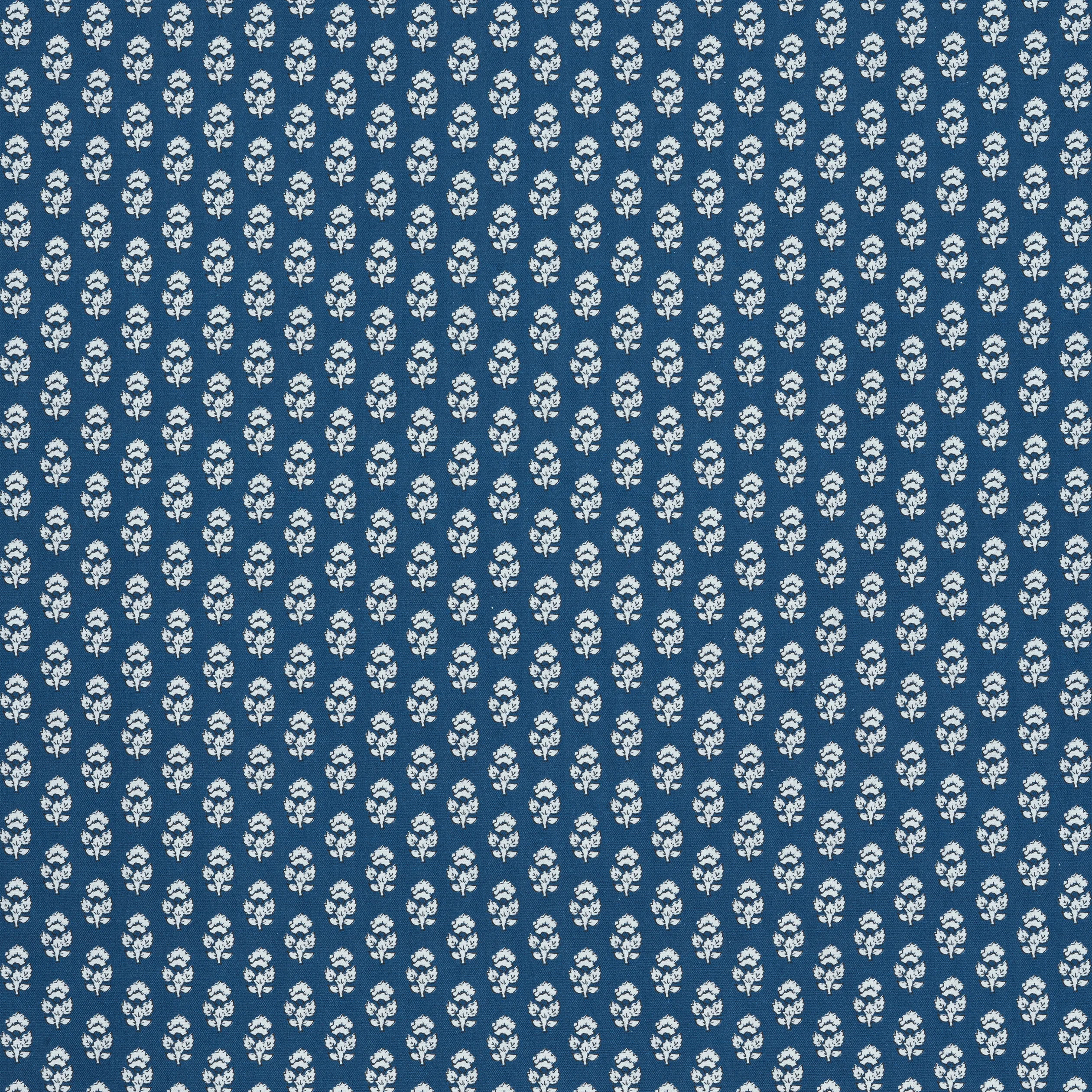 AF15163 | Julian – Navy