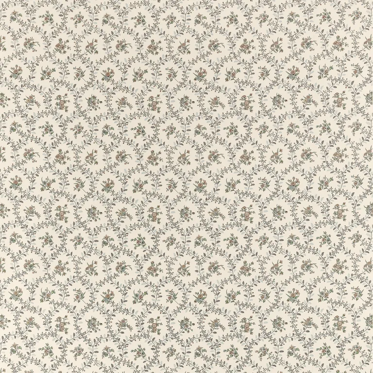 Anna French Juliette Trail in Brown (AF10765)