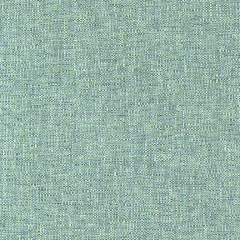 Thibaut Kaden in Caribbean (W9124)