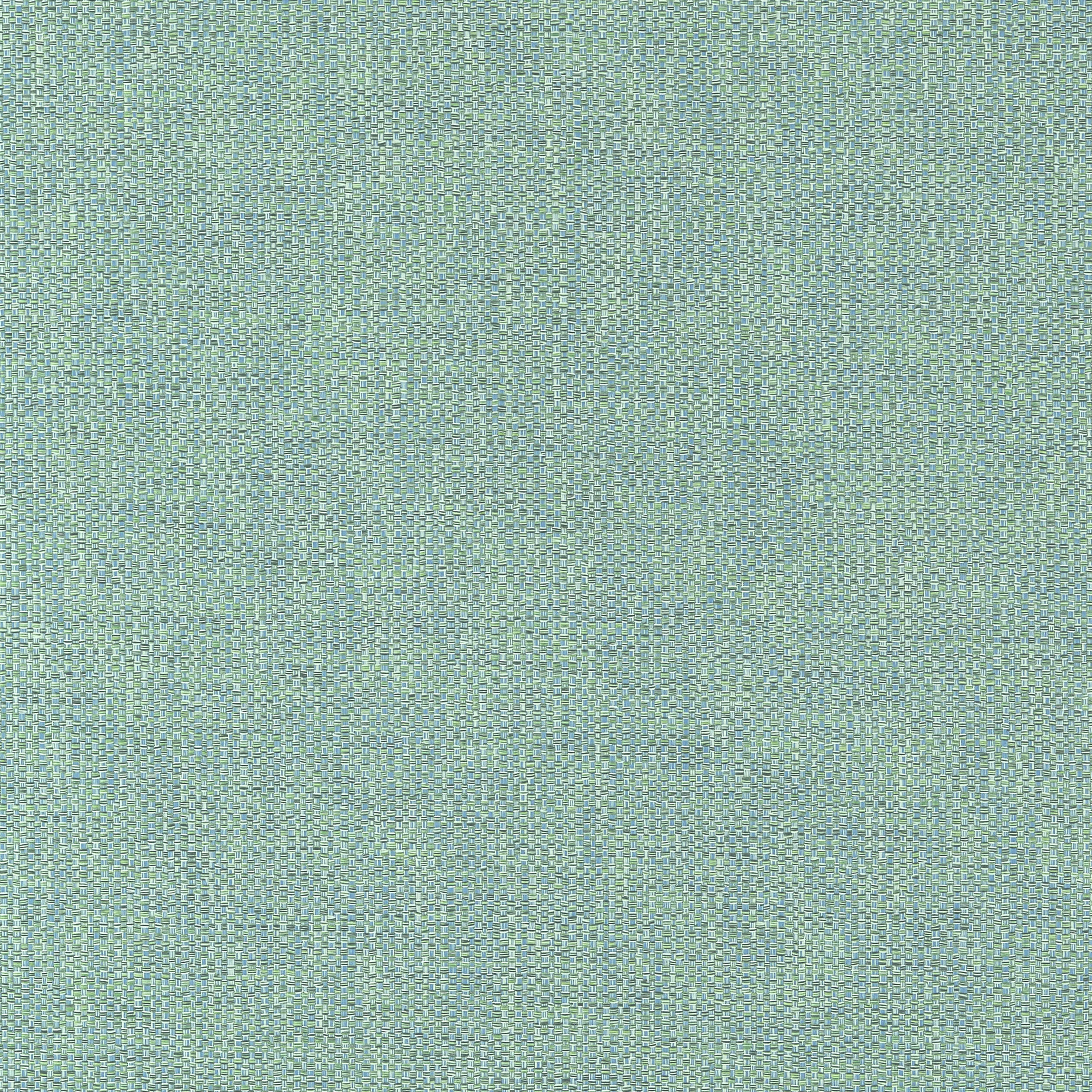 Thibaut Kaden in Caribbean (W9124)