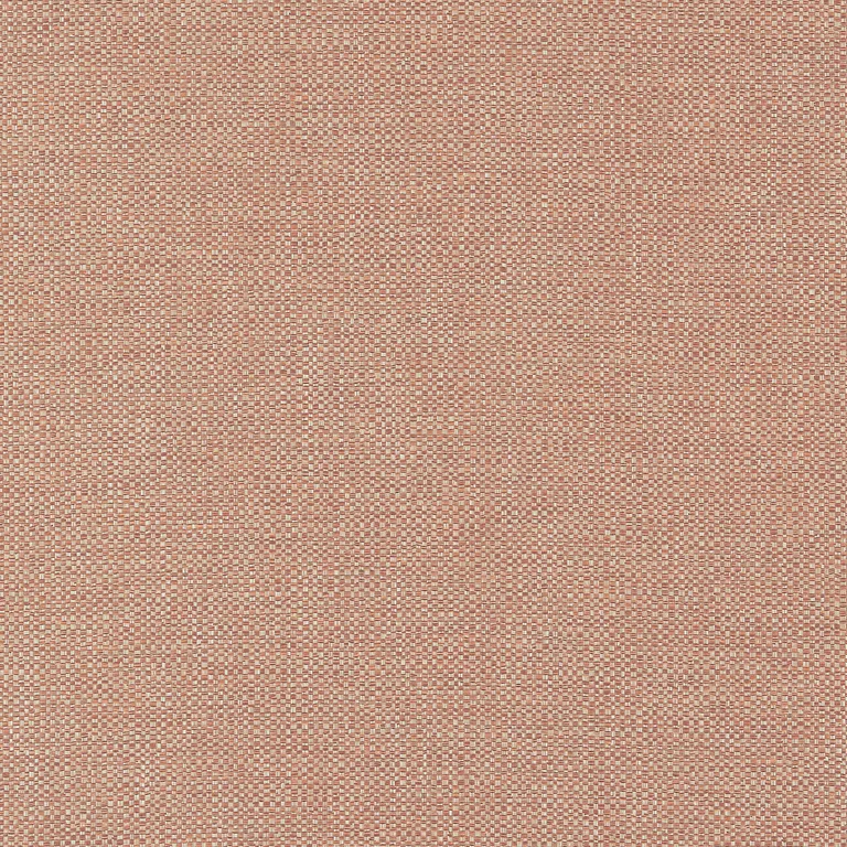 Thibaut Kaden in Cider (W9122)