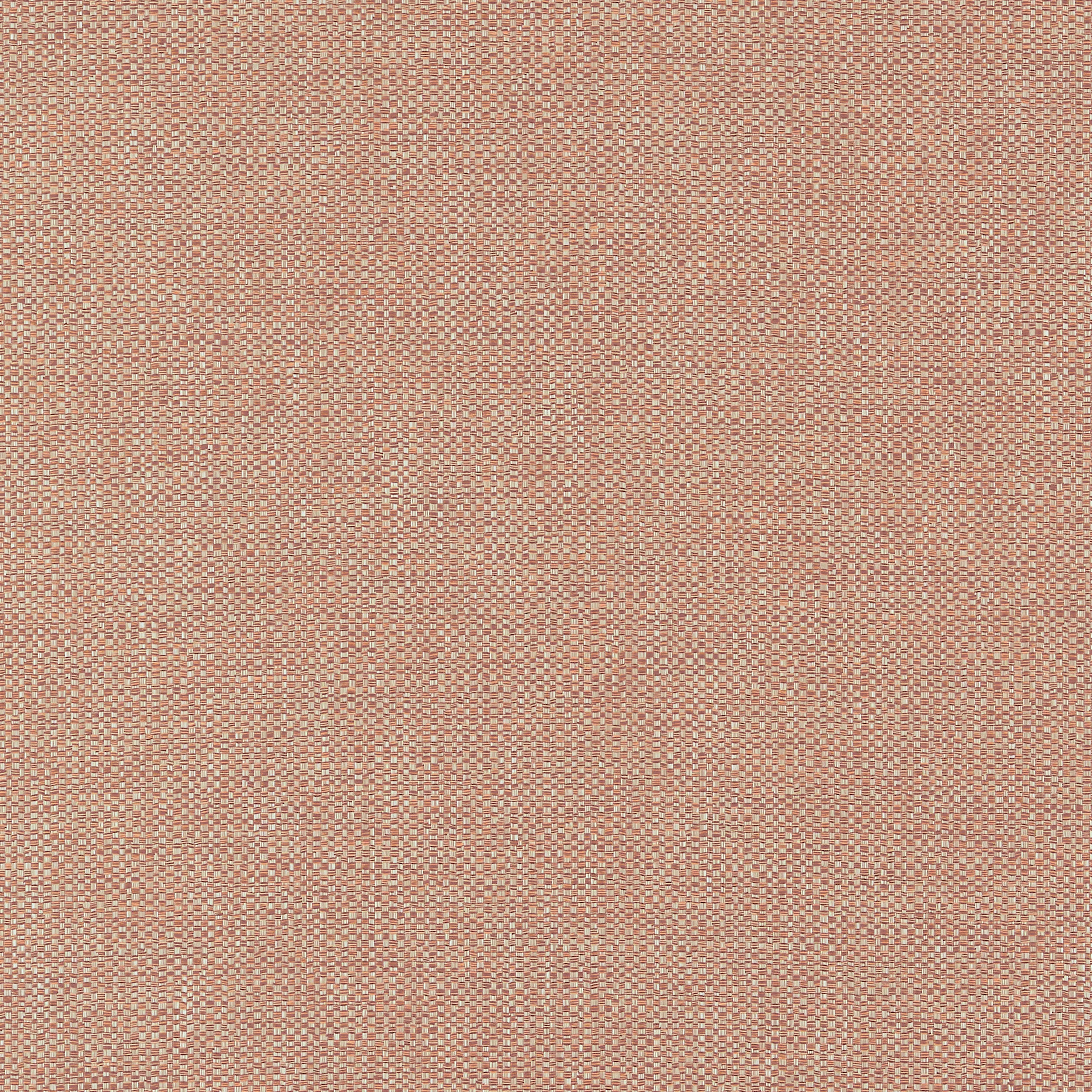Thibaut Kaden in Cider (W9122)