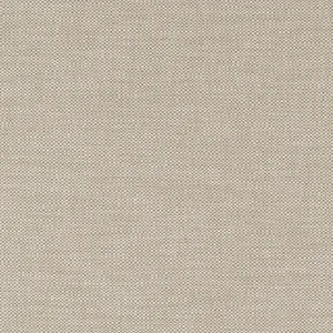 Thibaut Kaden in Cocoa (W9119)