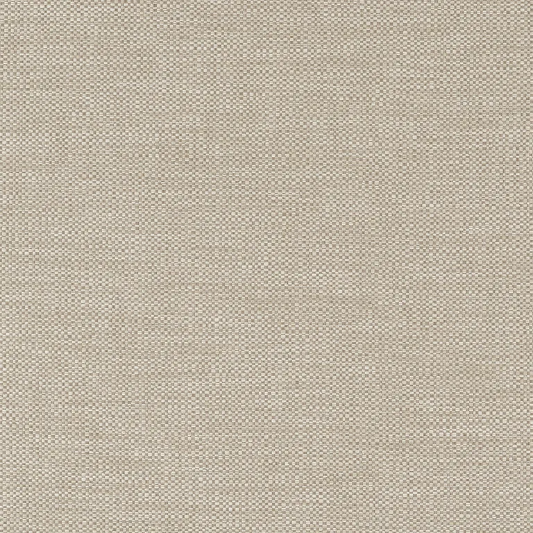 Thibaut Kaden in Cocoa (W9119)