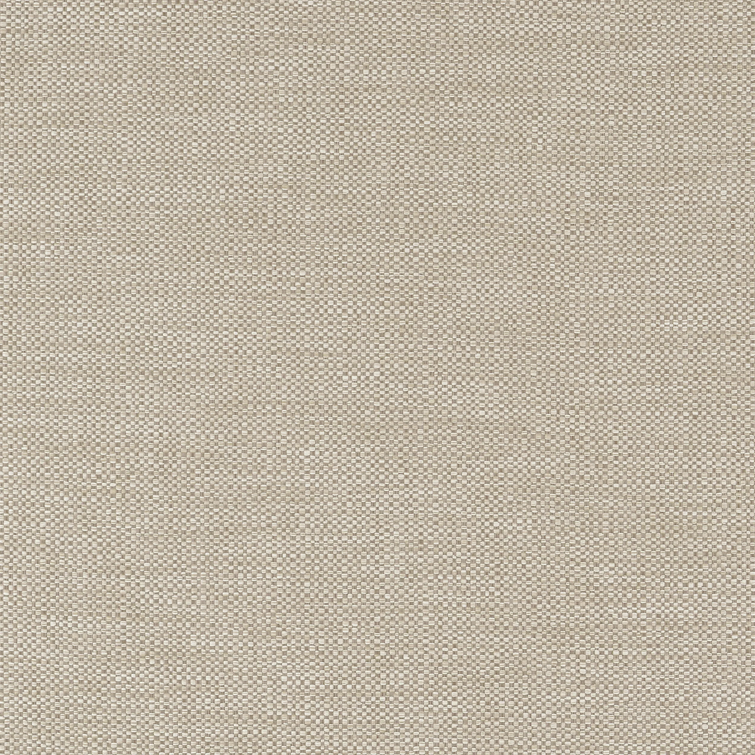 Thibaut Kaden in Cocoa (W9119)