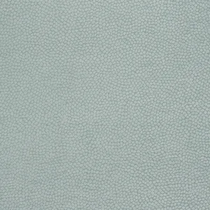 Thibaut Kali in Aqua (W80517)