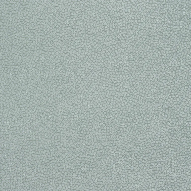 Thibaut Kali in Aqua (W80517)
