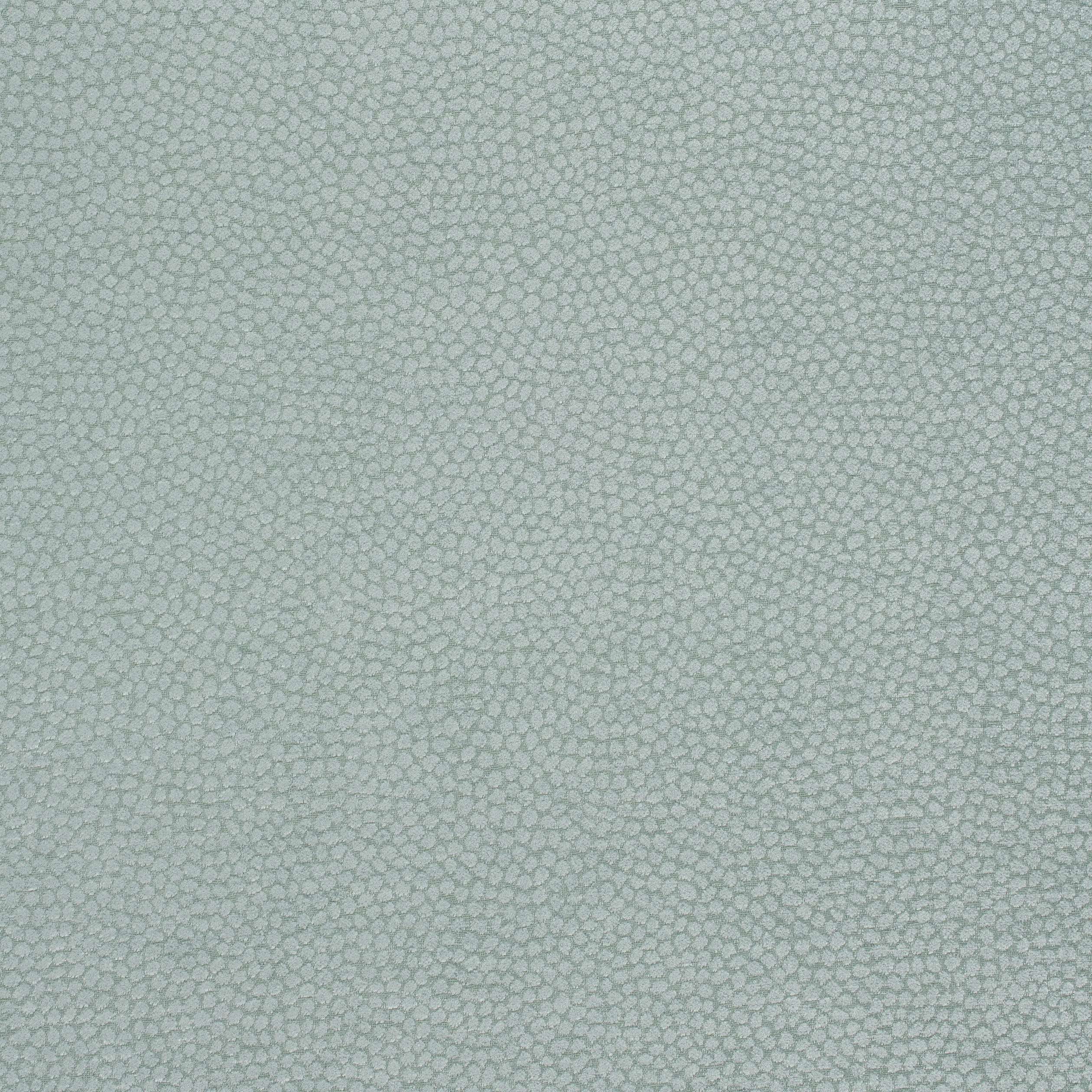 Thibaut Kali in Aqua (W80517)