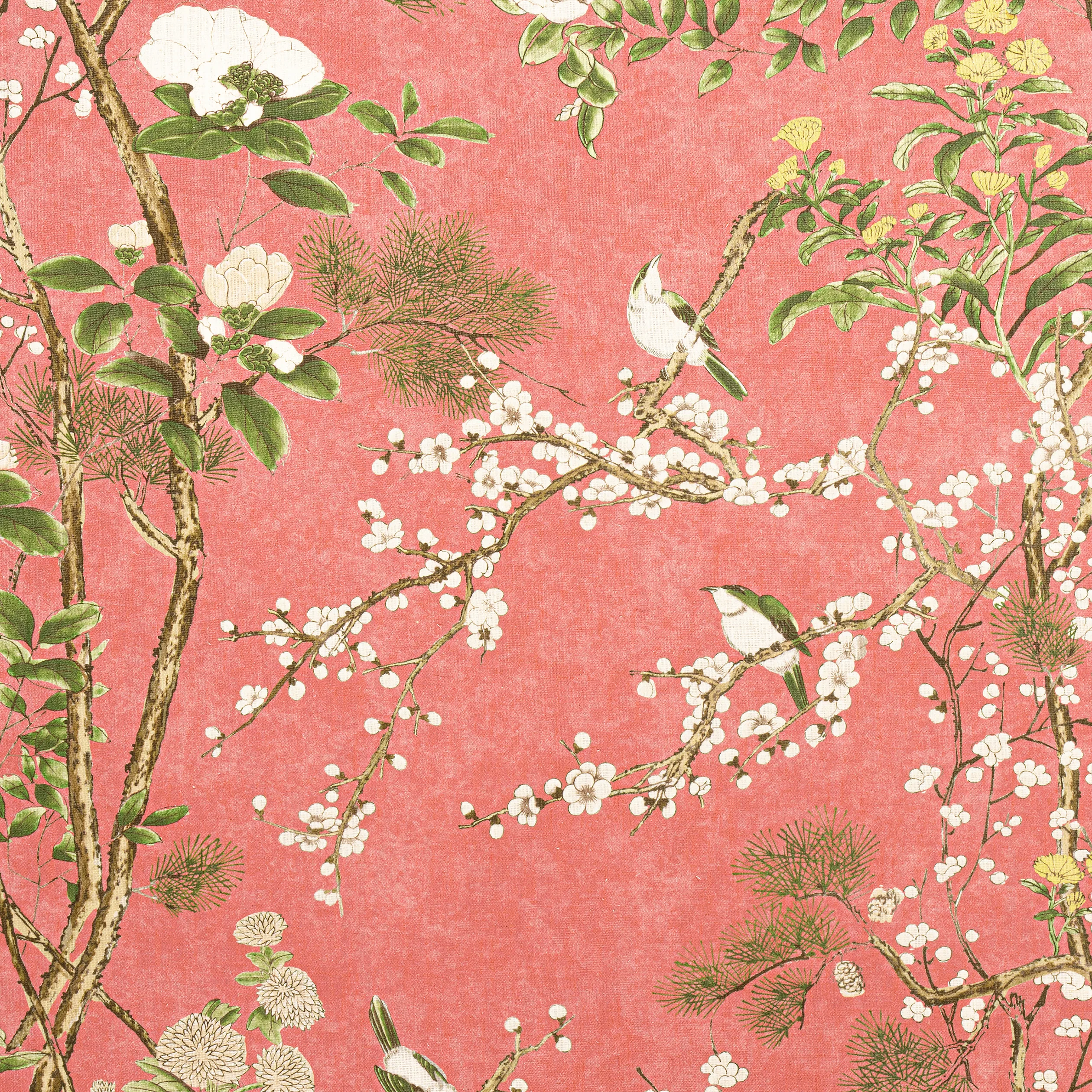 F913624 | Katsura – Coral