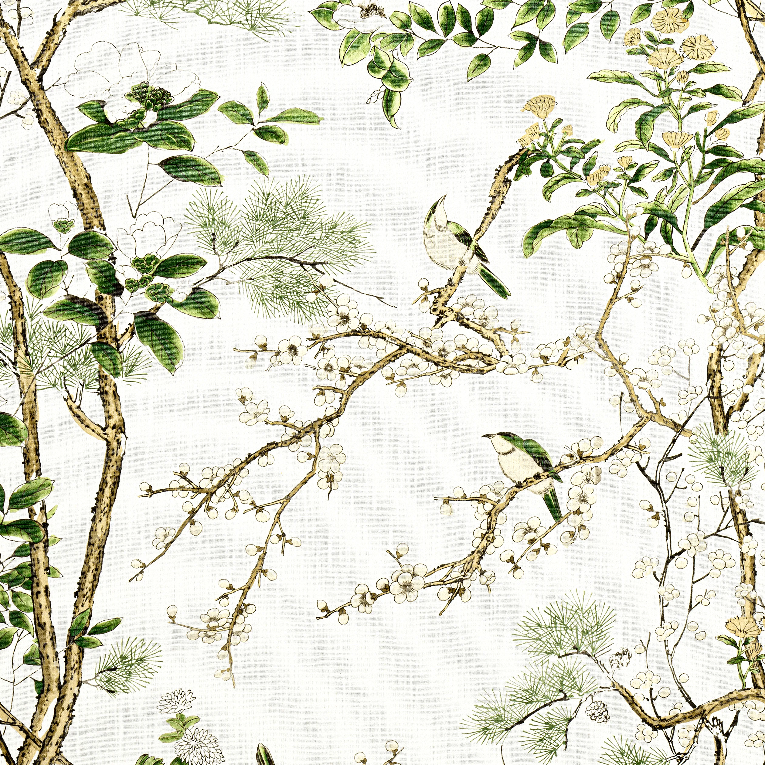 F913621 | Katsura – Green and White