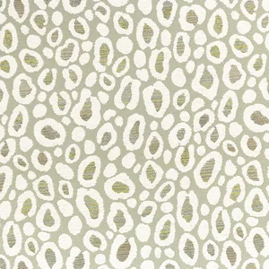 Thibaut Kenzo in Aloe (W8827)