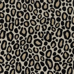Thibaut Kenzo in Ebony (W8831)