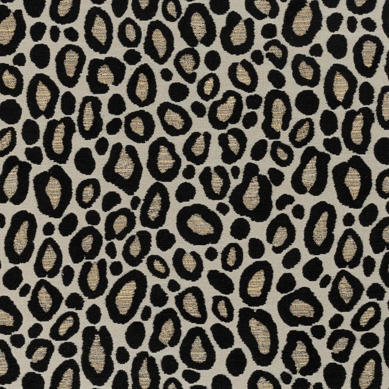 Thibaut Kenzo in Ebony (W8831)