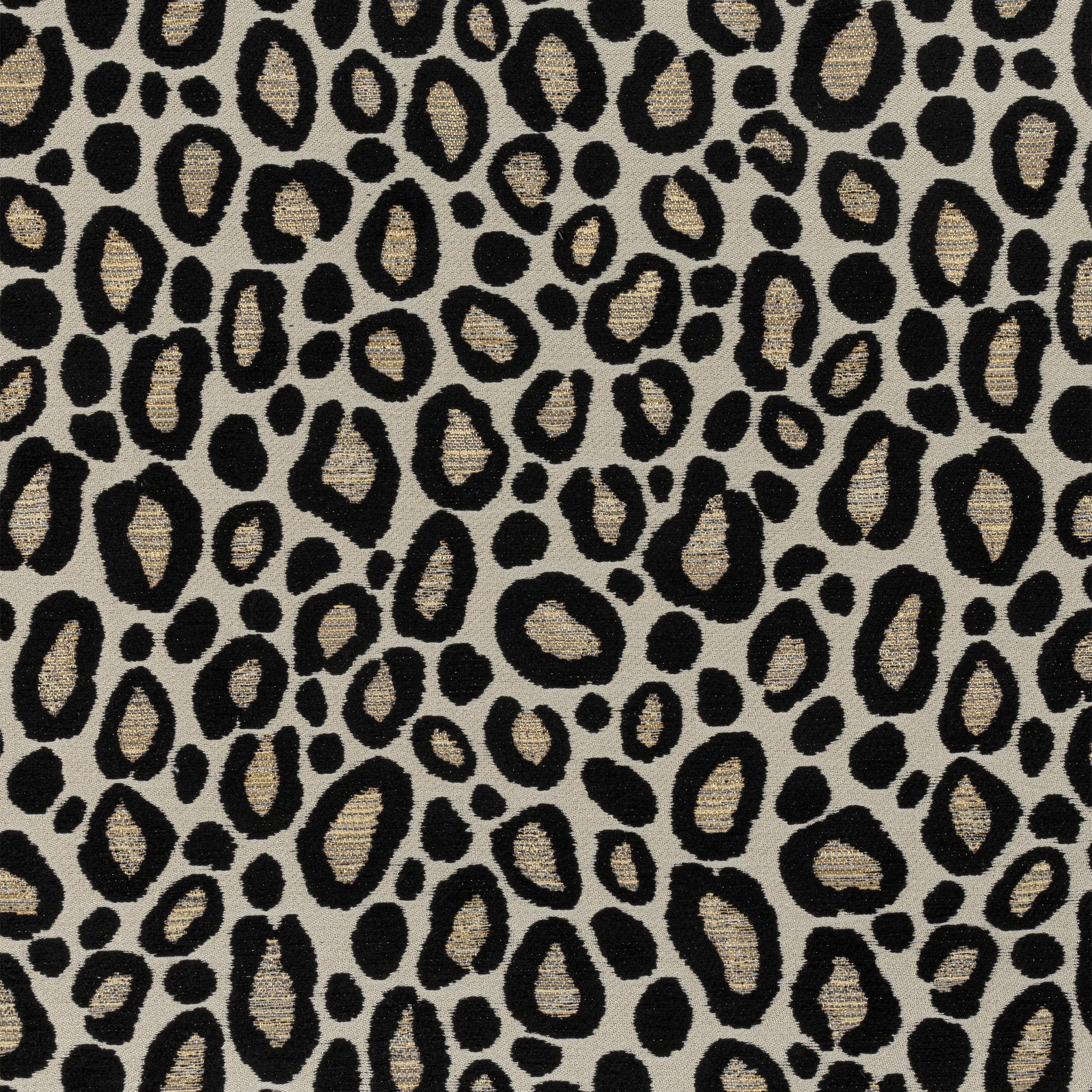 W8831 | Kenzo – Ebony