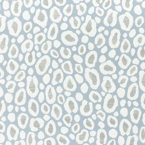 Thibaut Kenzo in Powder (W8828)