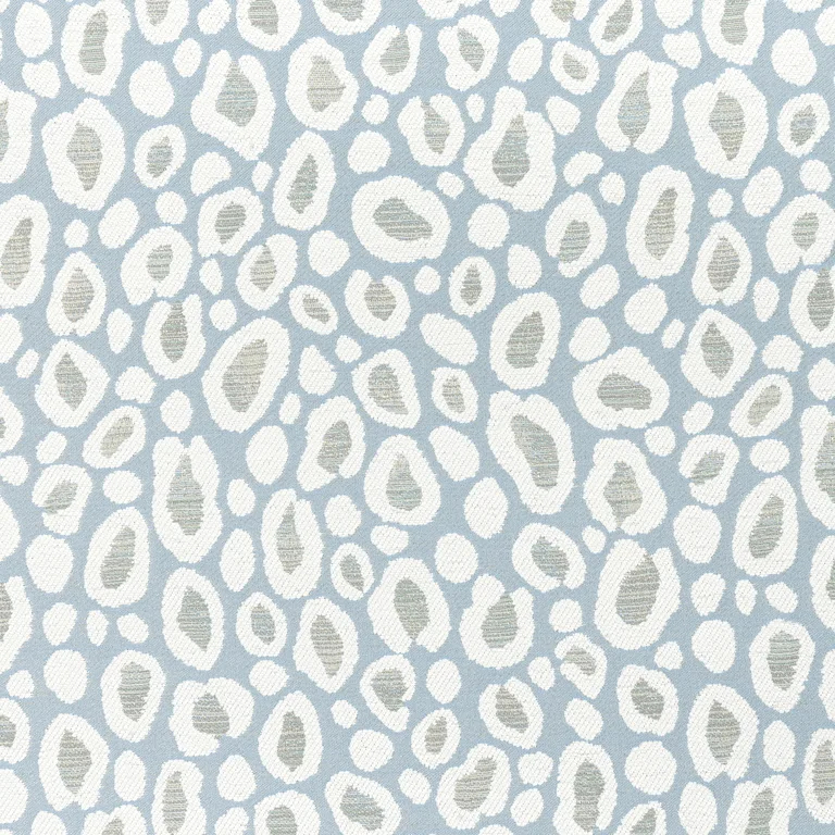 Thibaut Kenzo in Powder (W8828)