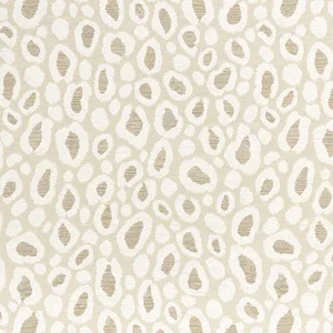 Thibaut Kenzo in Sahara (W8826)