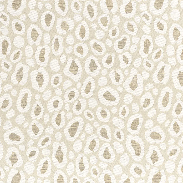 Thibaut Kenzo in Sahara (W8826)