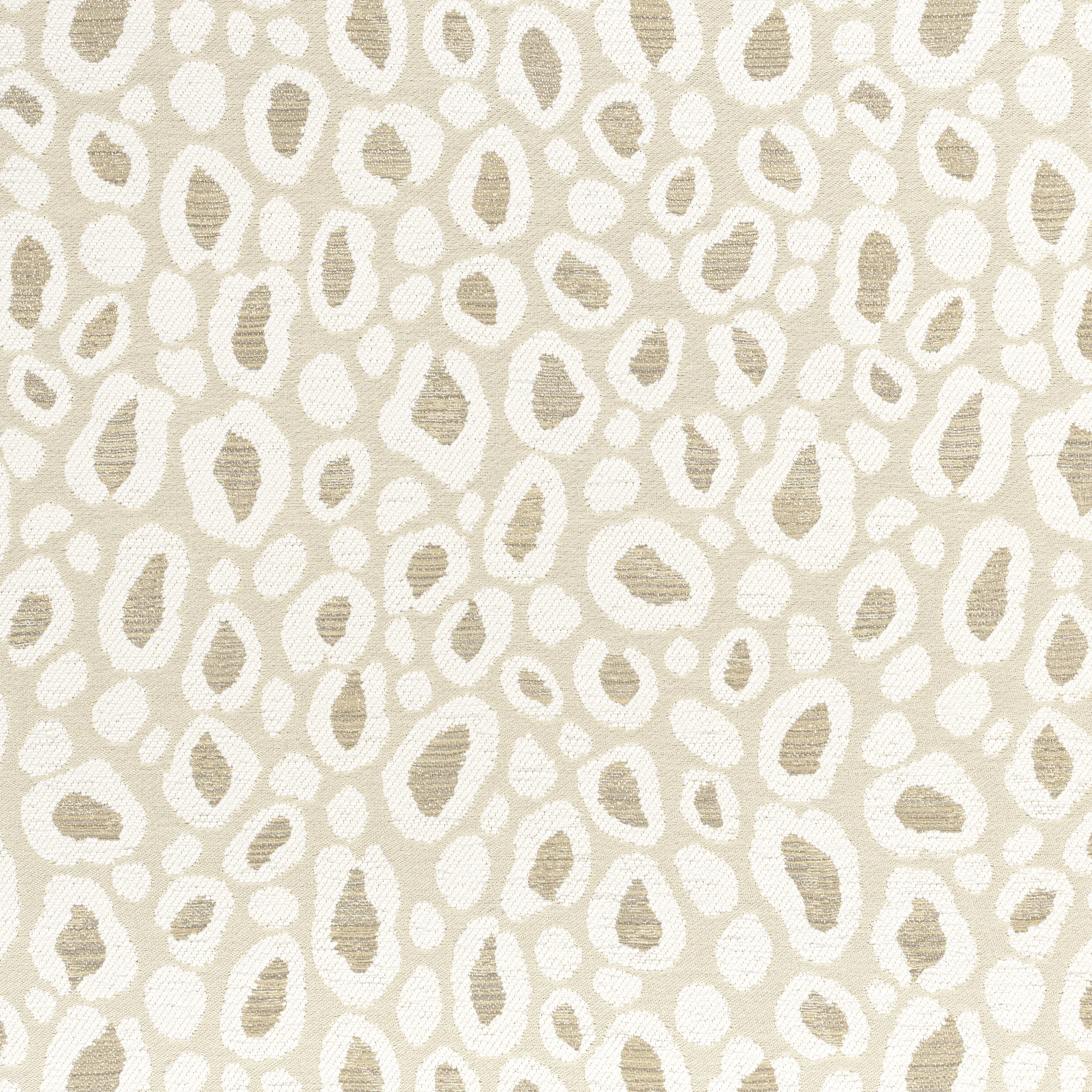 Thibaut Kenzo in Sahara (W8826)