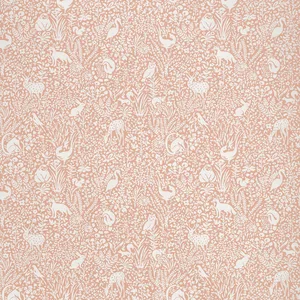 Thibaut Kindred in Apricot (W711110)