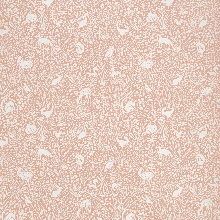 Thibaut Kindred in Apricot (W711110)
