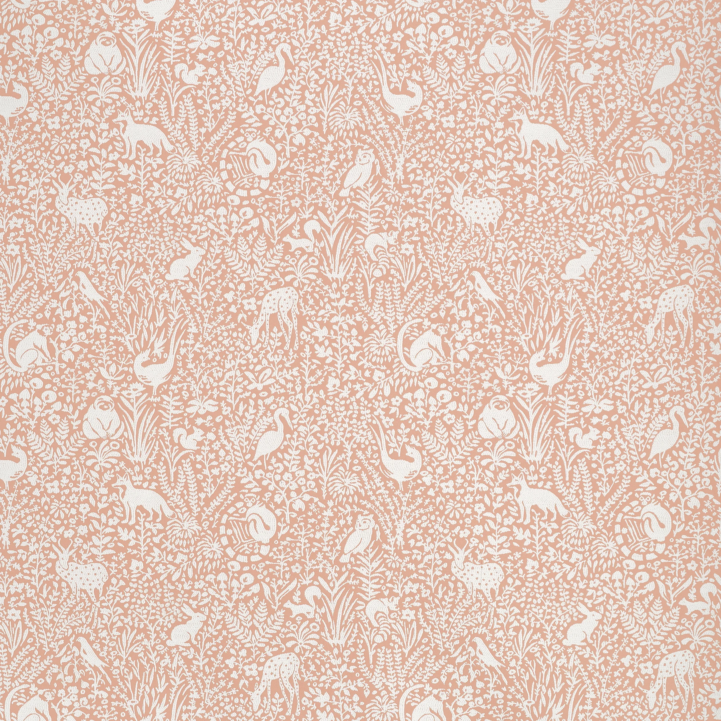 Thibaut Kindred in Apricot (W711110)