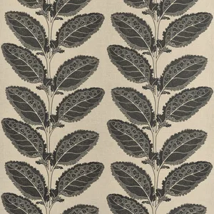 Thibaut Lacinato in Basalt Black (F912038)