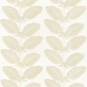 Thibaut Lacinato in Birch (F912041)