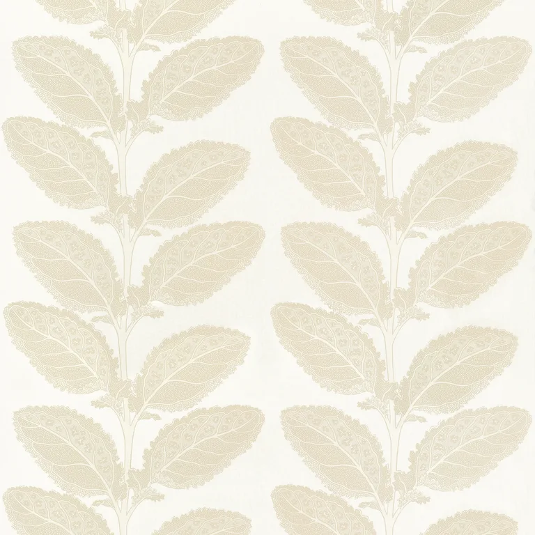 Thibaut Lacinato in Birch (F912041)