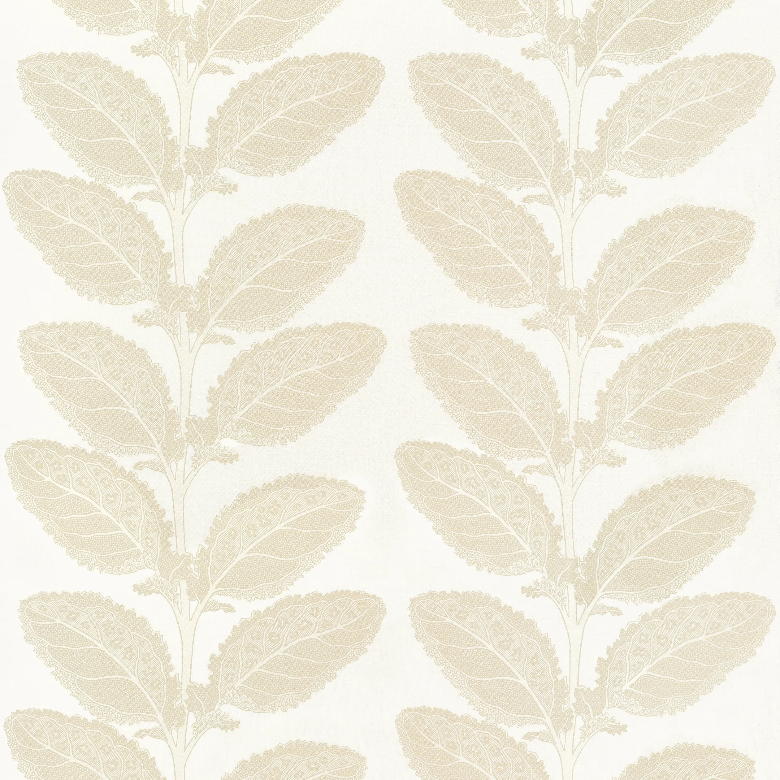 F912041 | Lacinato – Birch