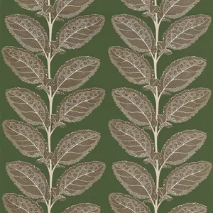 Thibaut Lacinato in Wild Sage (F912040)