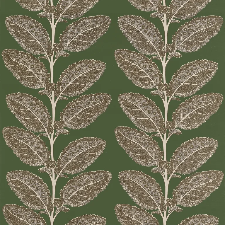 Thibaut Lacinato in Wild Sage (F912040)