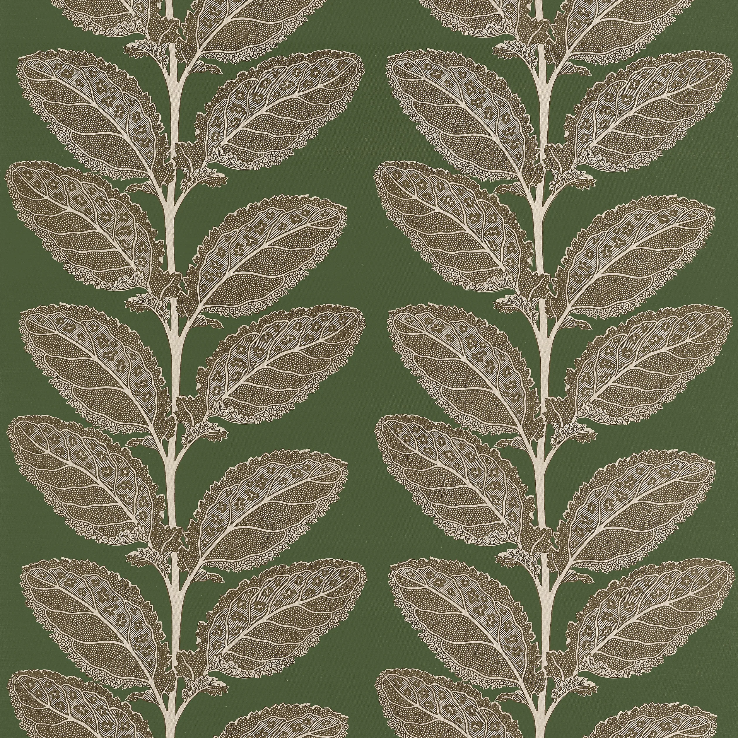 F912040 | Lacinato – Wild Sage